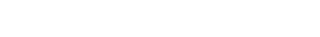 The Next Skin Logo